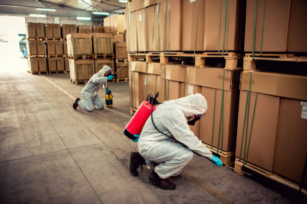 Stinnett, TX Pest Control Company