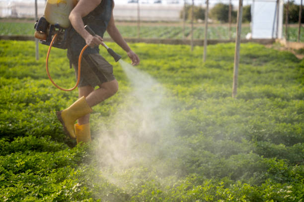 Pest Prevention Services in Stinnett, TX