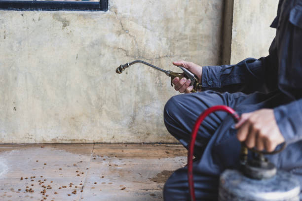Best Exterminator Services  in Stinnett, TX